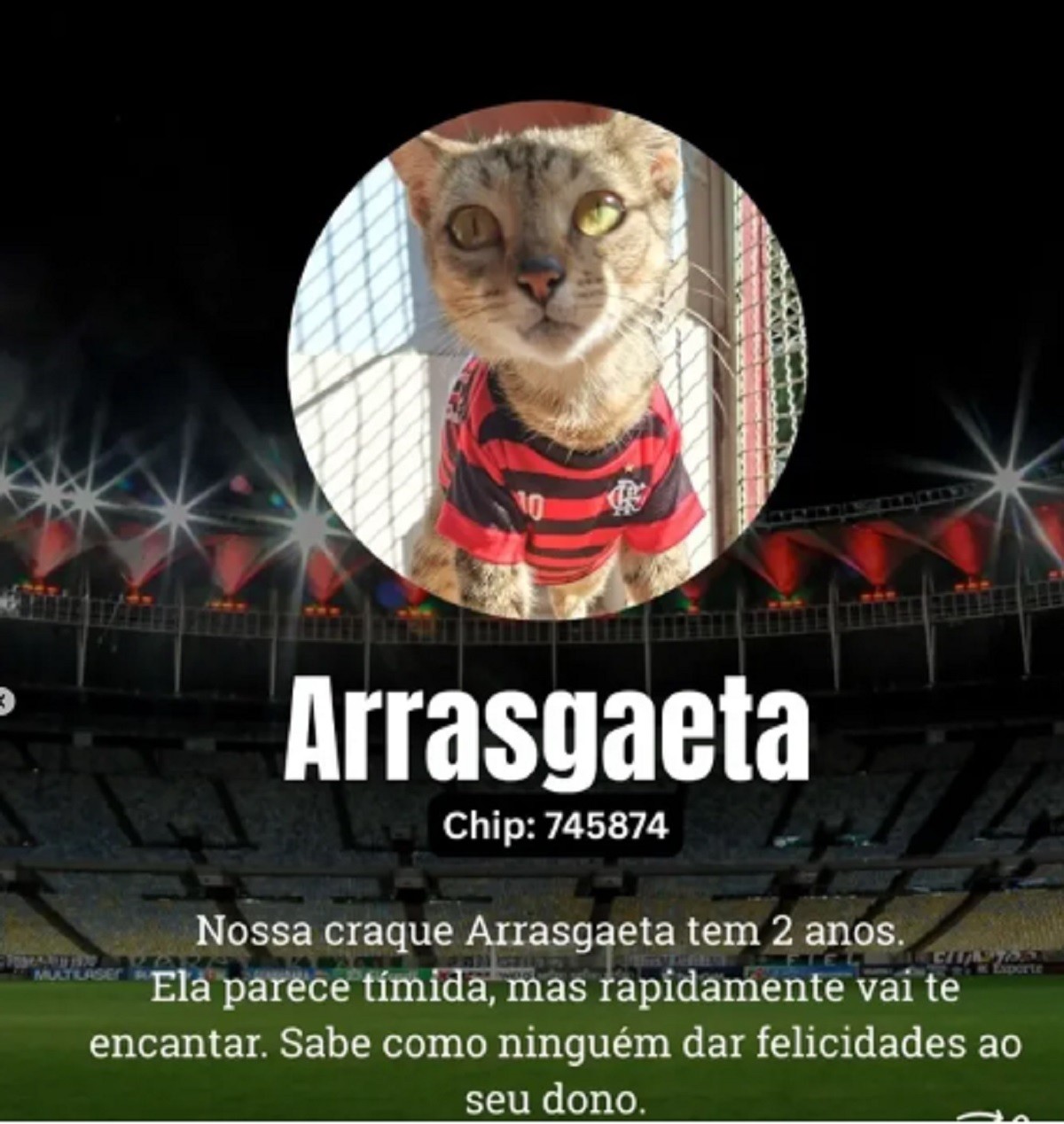 Neymar, Canobbia, “Arrasgaeta”: animais ganham nomes de jogador em campanha de adoção em MG