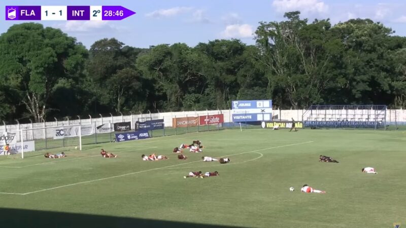Ataque de abelhas paralisa jogo do Flamengo em torneio de base no Paraná; assista