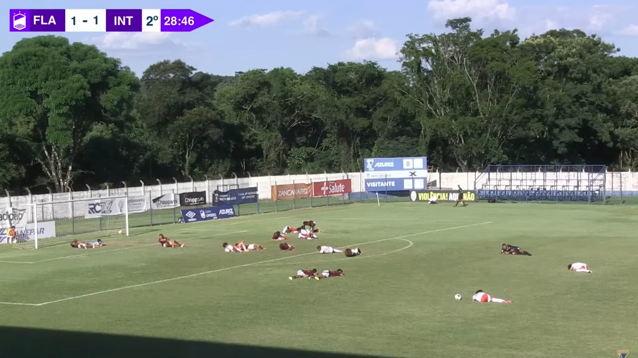 Ataque de abelhas paralisa jogo do Flamengo em torneio de base no Paraná; assista