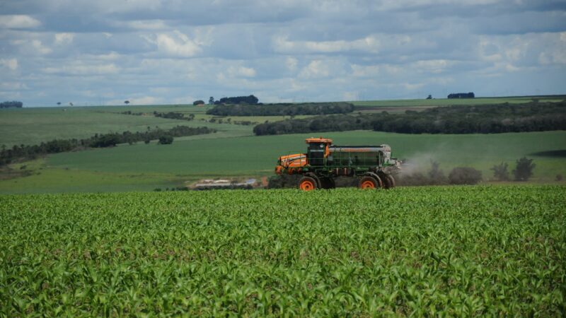 Em meio a guerra comercial, Brasil bate recorde em exportações de soja e amendoim para a China