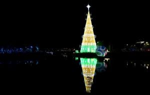 57 metros e 330 mil LEDs: árvore de Natal gigante deve bater recorde de visitação em SP