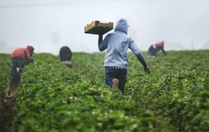 A nova regra para propriedades rurais que vai beneficiar pequenas terras e agricultores familiares