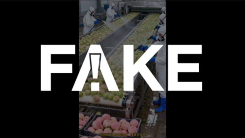 É #FAKE vídeo de operários ‘tingindo’ frutas e verduras em fábrica na China; cena foi criada com inteligência artificial