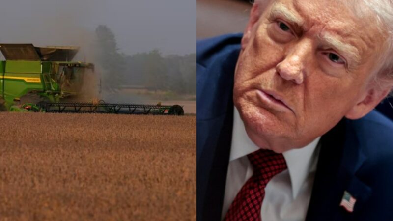 Agricultores dos EUA dizem que ajuda de US$12 bi de Trump só ‘retarda o sangramento’