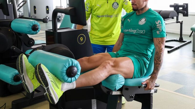Médico do Palmeiras vê Weverton praticamente recuperado e mostra otimismo para volta de Paulinho