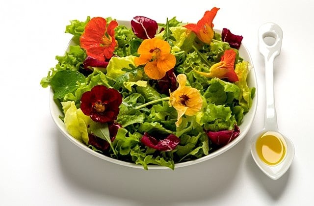 Flores comestíveis? Entenda o que são as PANCs e para que servem