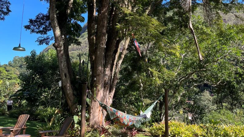 Recesso x férias coletivas: entenda diferenças e regras de cada um