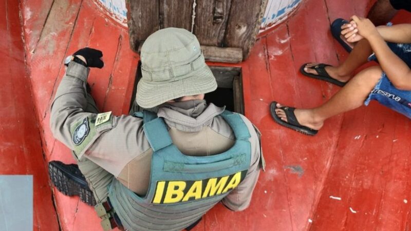 Ibama e Incra abrem inscrições para concursos com salários de até R$ 9,8 mil; veja como participar