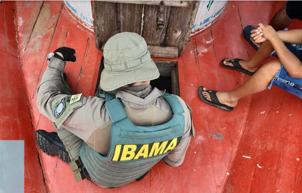 Ibama e Incra abrem inscrições para concursos com salários de até R$ 9,8 mil; veja como participar