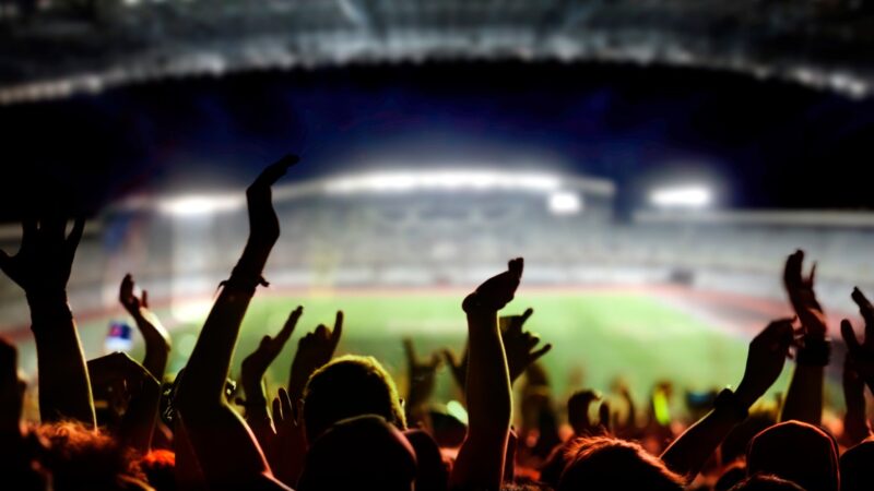 Quiz: que tipo de torcedor é você na reta final do Campeonato Brasileiro?