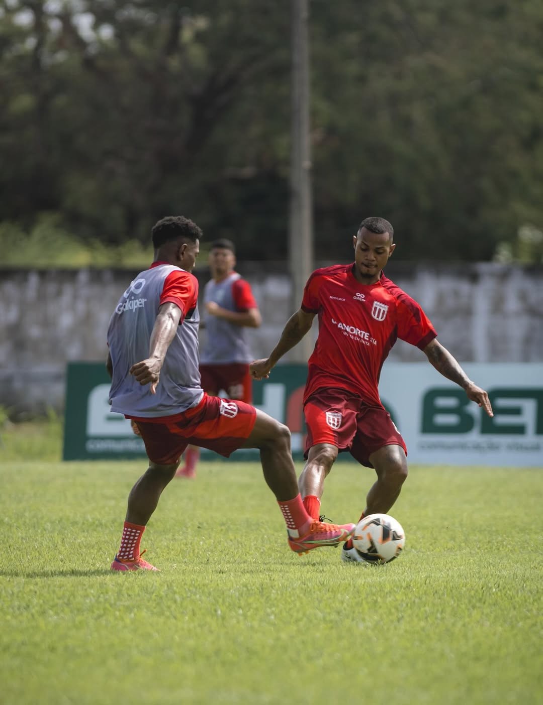 Maranhão se reapresenta e enfrenta Atlético-PI em amistoso da pré-temporada