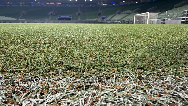 Allianz Parque inicia troca de gramado, e Palmeiras deve voltar à arena no fim de fevereiro