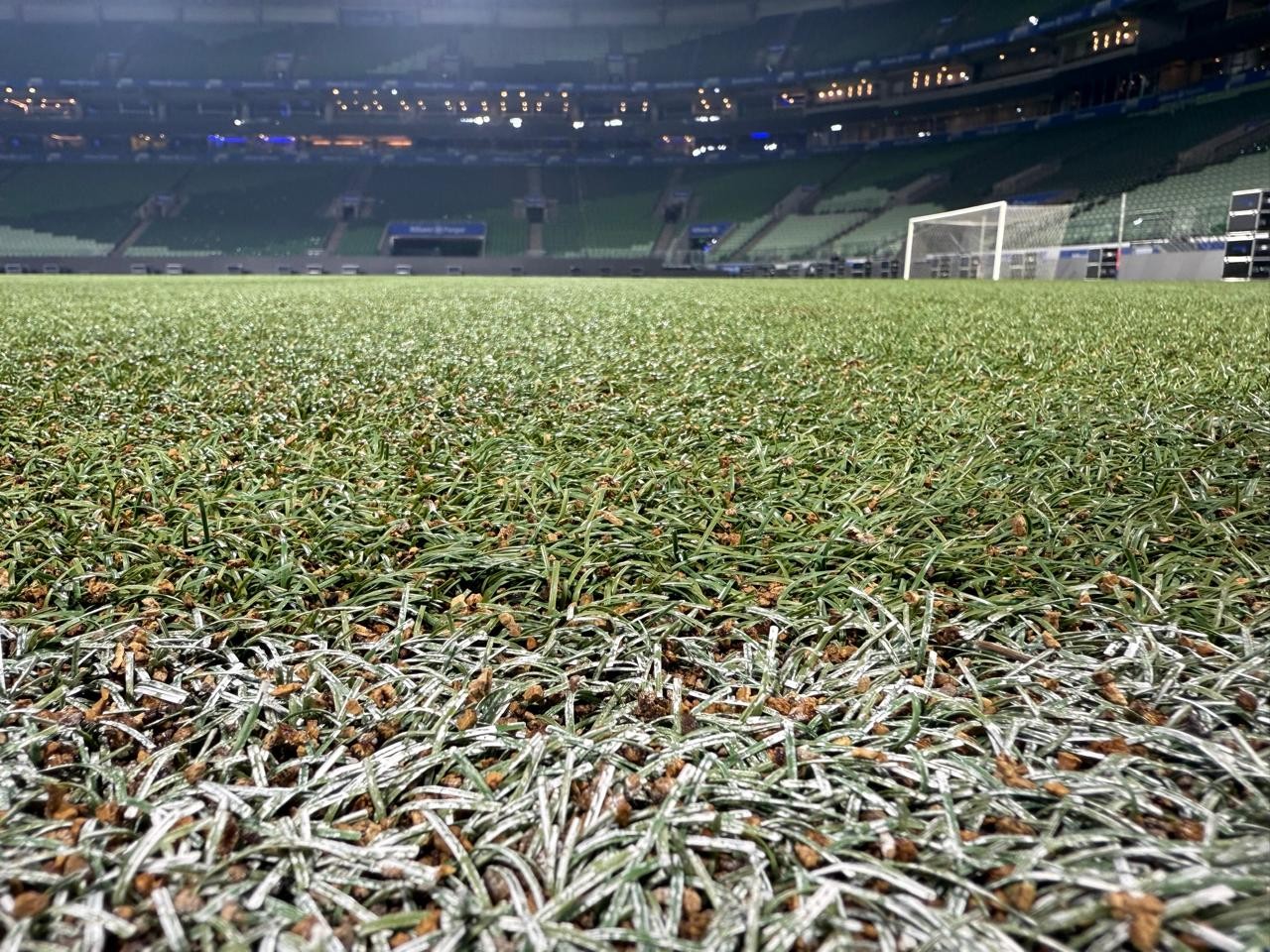 Allianz Parque inicia troca de gramado, e Palmeiras deve voltar à arena no fim de fevereiro