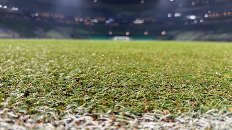 Palmeiras avança em troca de gramado do Allianz Parque; vídeo