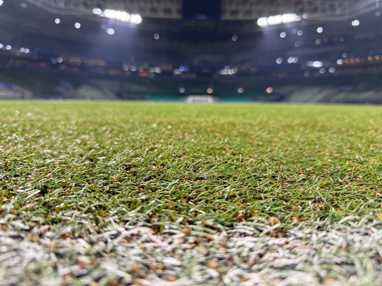 Palmeiras avança em troca de gramado do Allianz Parque; vídeo