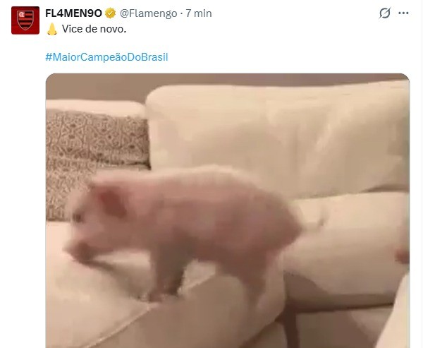 Flamengo provoca o Palmeiras: “Vice de novo”