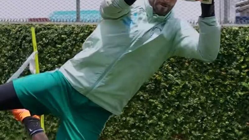 Weverton treina defesas com bola para voltar 100% no Palmeiras