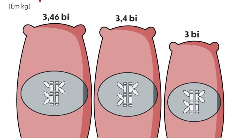 Acordo UE-Mercosul: o que está em jogo para o agro brasileiro