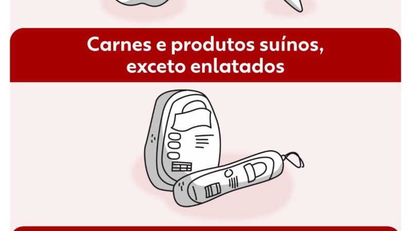 Vai trazer comida do exterior? Veja quando e como pedir autorização após mudança de regra