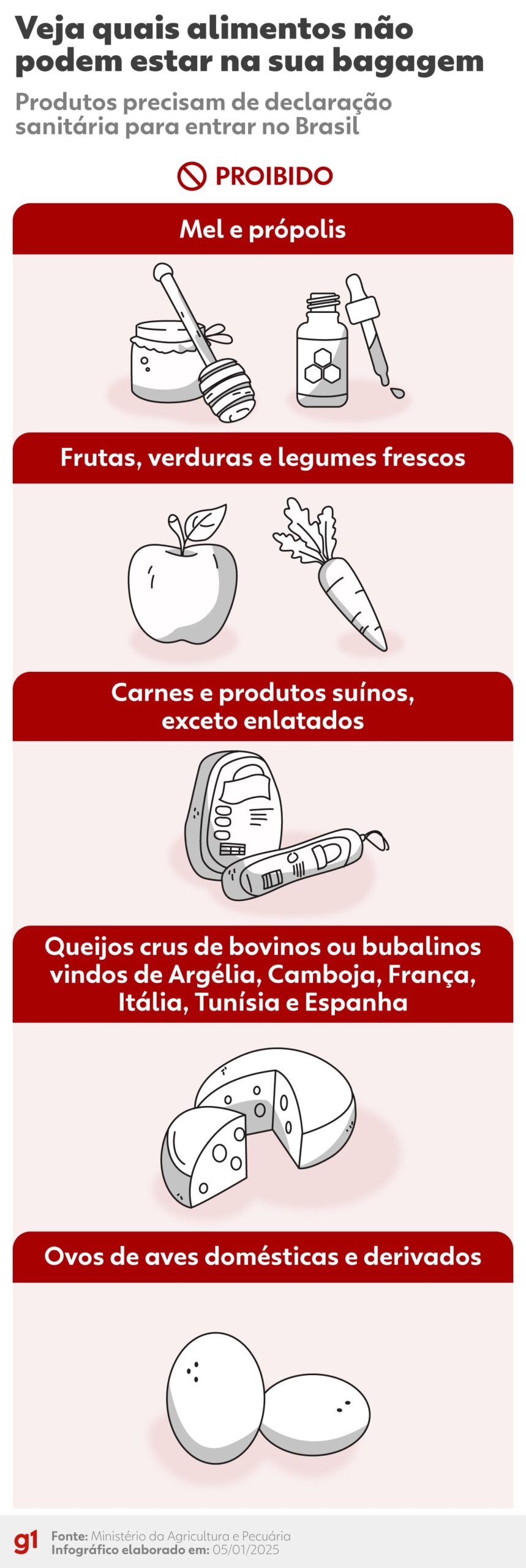 Vai trazer comida do exterior? Veja quando e como pedir autorização após mudança de regra
