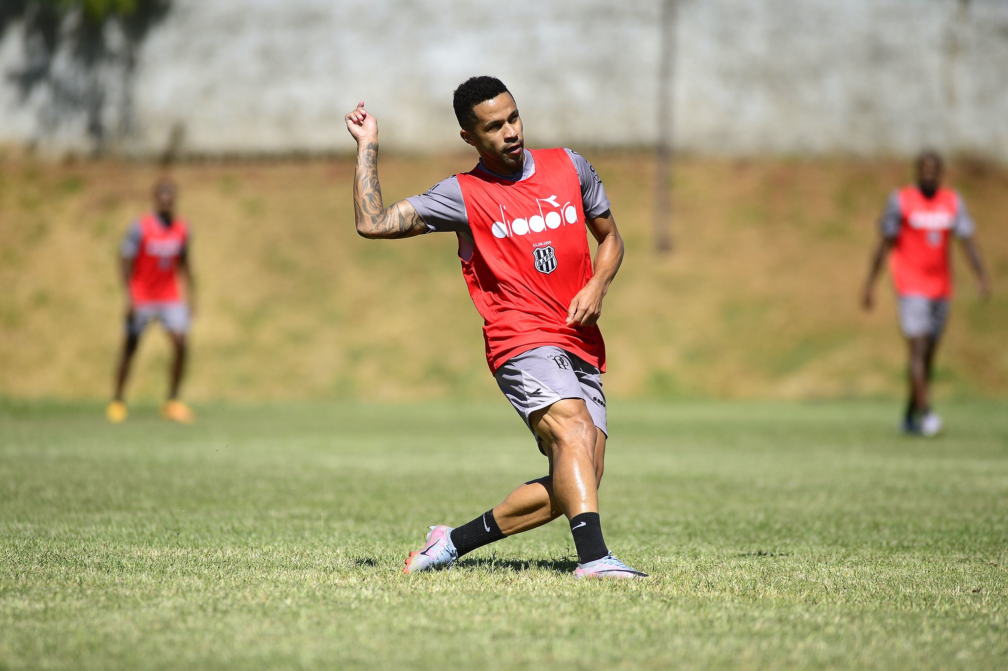 Ex-Palmeiras e Santos deixa a Ponte um dia depois de entrar em campo
