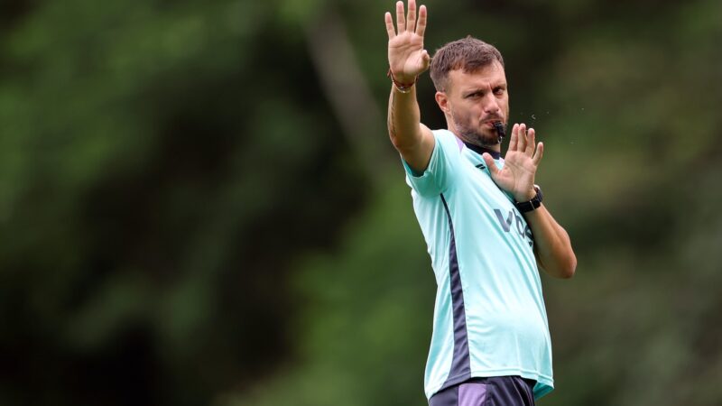 Vc Escala: qual Botafogo ideal para primeiro jogo de Anselmi?