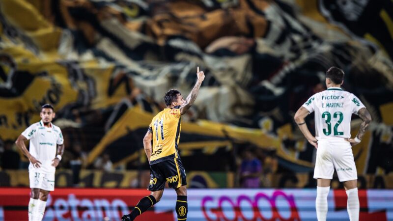 Como o Novorizontino passou de freguês a carrasco do Palmeiras em menos de um ano