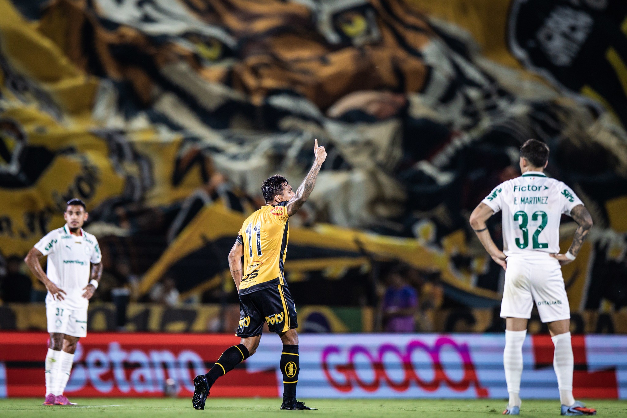 Como o Novorizontino passou de freguês a carrasco do Palmeiras em menos de um ano