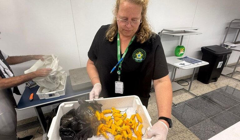 Presunto, queijo: o que pode (e como pode) trazer do exterior para o Brasil e o que deve acabar destruído