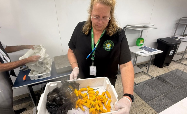 Presunto, queijo: o que pode (e como pode) trazer do exterior para o Brasil e o que deve acabar destruído