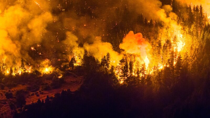 Incêndio florestal de grandes proporções atinge a Patagônia argentina; ‘Inferno’, diz moradora