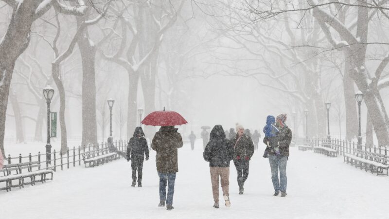 É #FAKE vídeo de árvore congelada ‘explodindo’ durante nevasca nos EUA; cena foi feita com IA