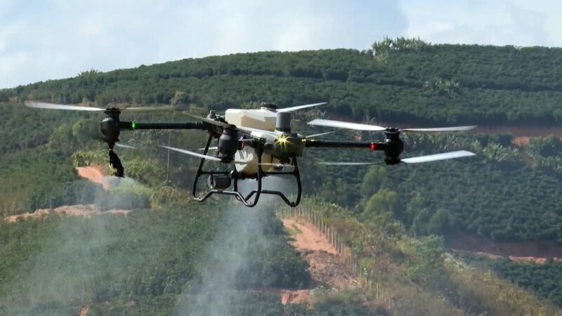 Liberação de agrotóxicos e defensivos biológicos bate novo recorde em 2025, apontam dados do governo