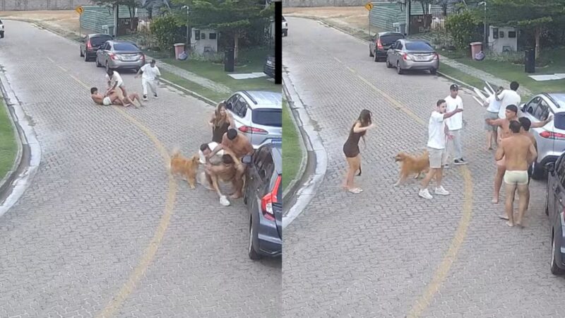 Vídeo mostra briga generalizada entre jogadores do Fortaleza e vizinhos