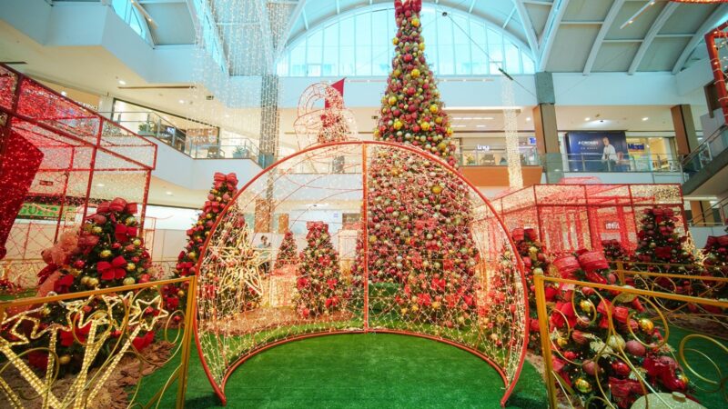 Como organizar as finanças no início do ano e começar 2026 no azul