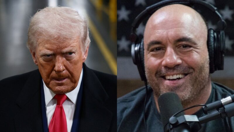 Influenciador pró-Trump compara ICE à polícia da Alemanha nazista: ‘Vamos virar a Gestapo?’