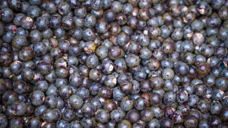 Açaí é reconhecido em lei como fruta brasileira