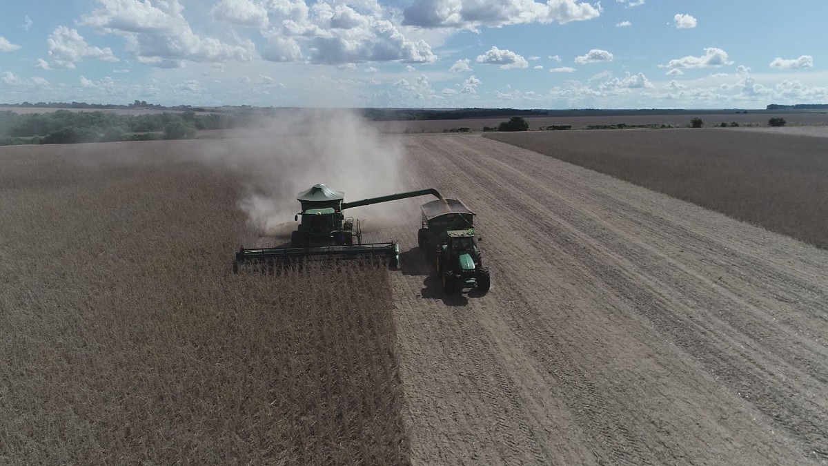 Exportadoras de grãos deixam a Moratória da Soja