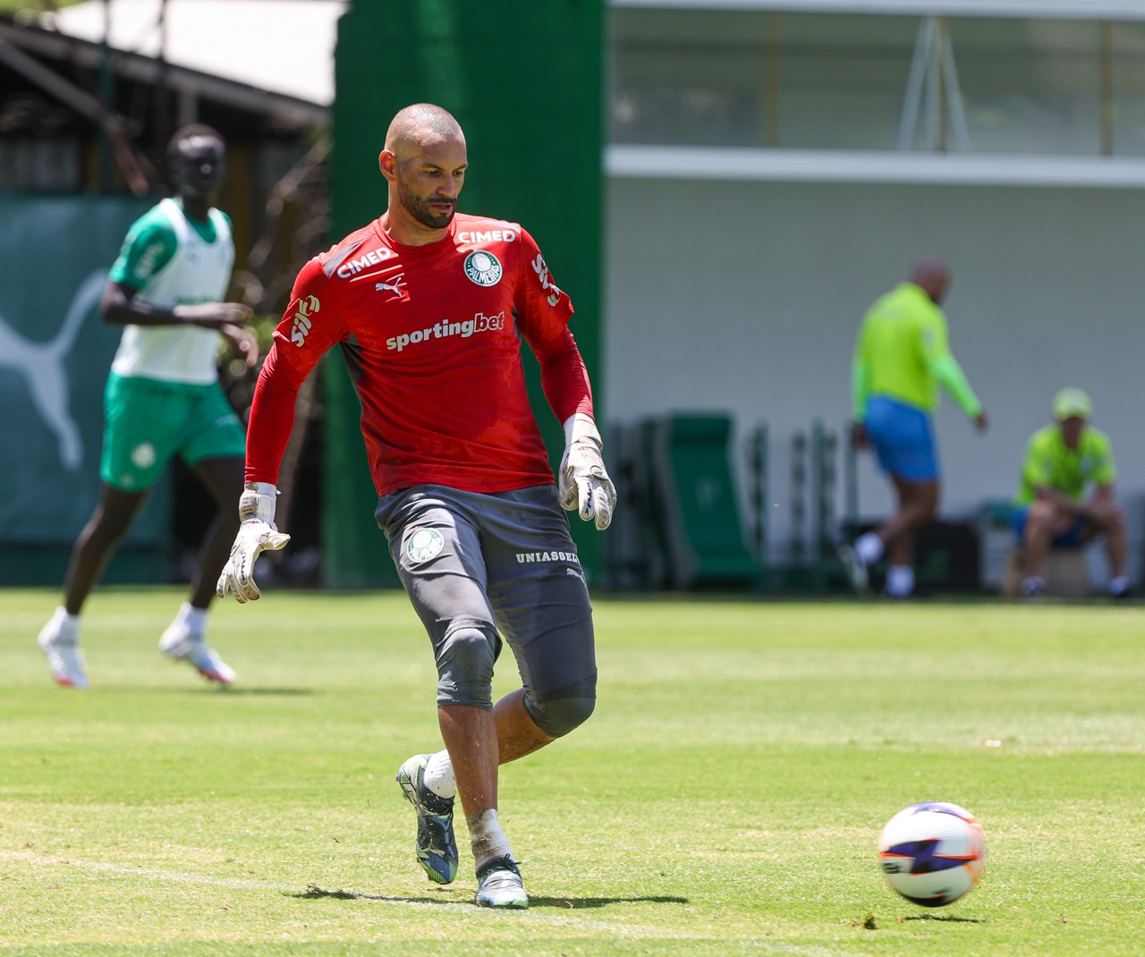 Palmeiras recebe contato do Grêmio e quer definição rápida sobre o futuro de Weverton