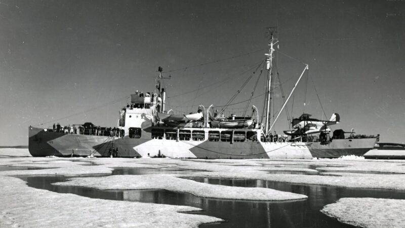 Trump diz que EUA foram ‘estúpidos’ por ‘devolver’ Groenlândia após 2ª Guerra. História não foi bem assim