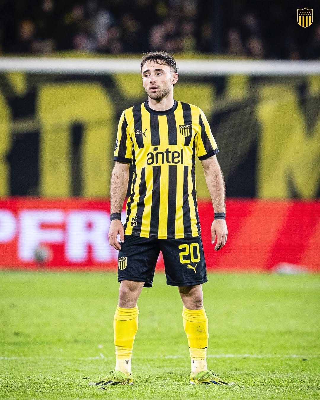 Acertado com o Corinthians, Pedro Milans chega ao Brasil para fazer exames e assinar contrato