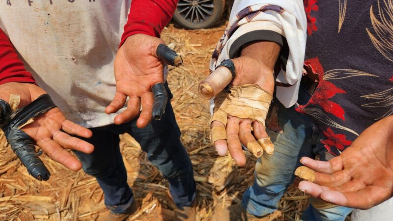 Denúncias de trabalho escravo atingem novo recorde no Brasil