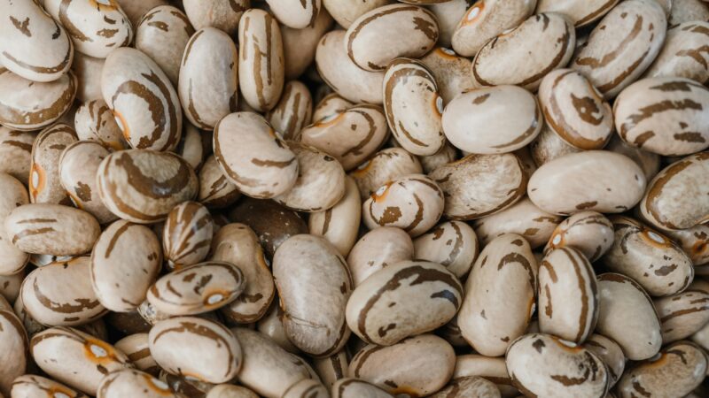 Morre pesquisador ‘pai’ do feijão Carioquinha