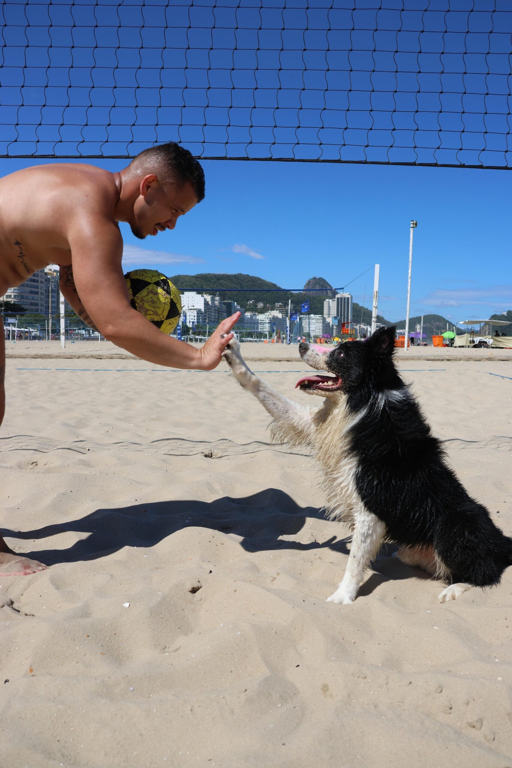 De brincadeira a fenômeno global: cachorro vira craque do futevôlei e já soma mais de 1 bilhão de views