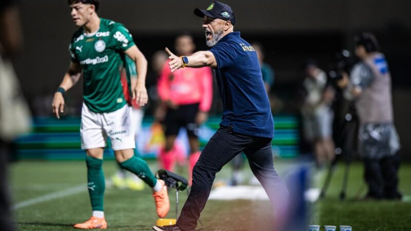 Guanaes fala da “reconstrução” do Mirassol e avalia que empate com Palmeiras seria mais justo