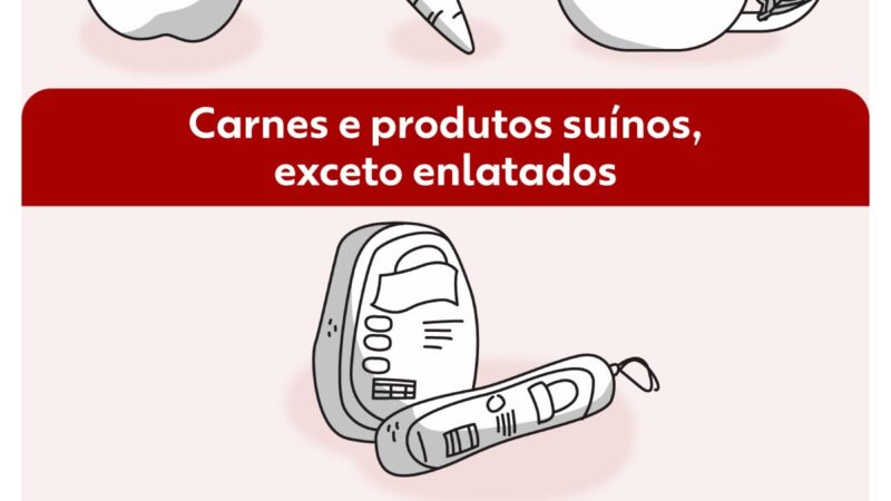 Vai trazer comida do exterior? Veja quando e como pedir autorização
