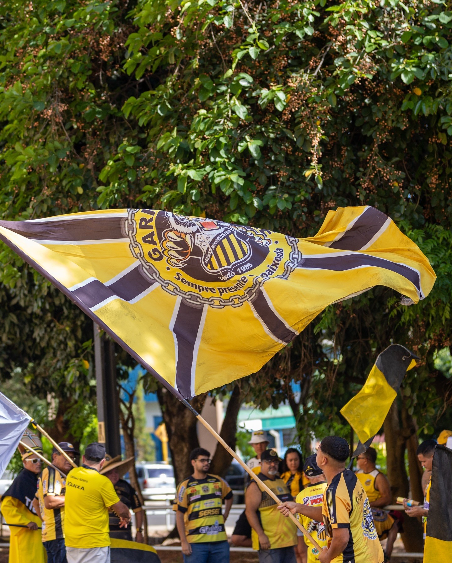 Novorizontino abre venda de ingressos para jogo contra o São Bernardo; saiba como comprar