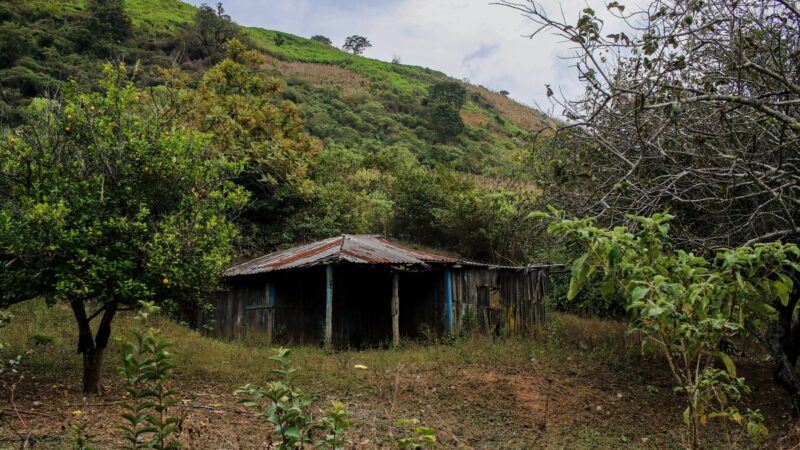 Buscas por mineradores sequestrados revelam valas e corpos perto de mina no México
