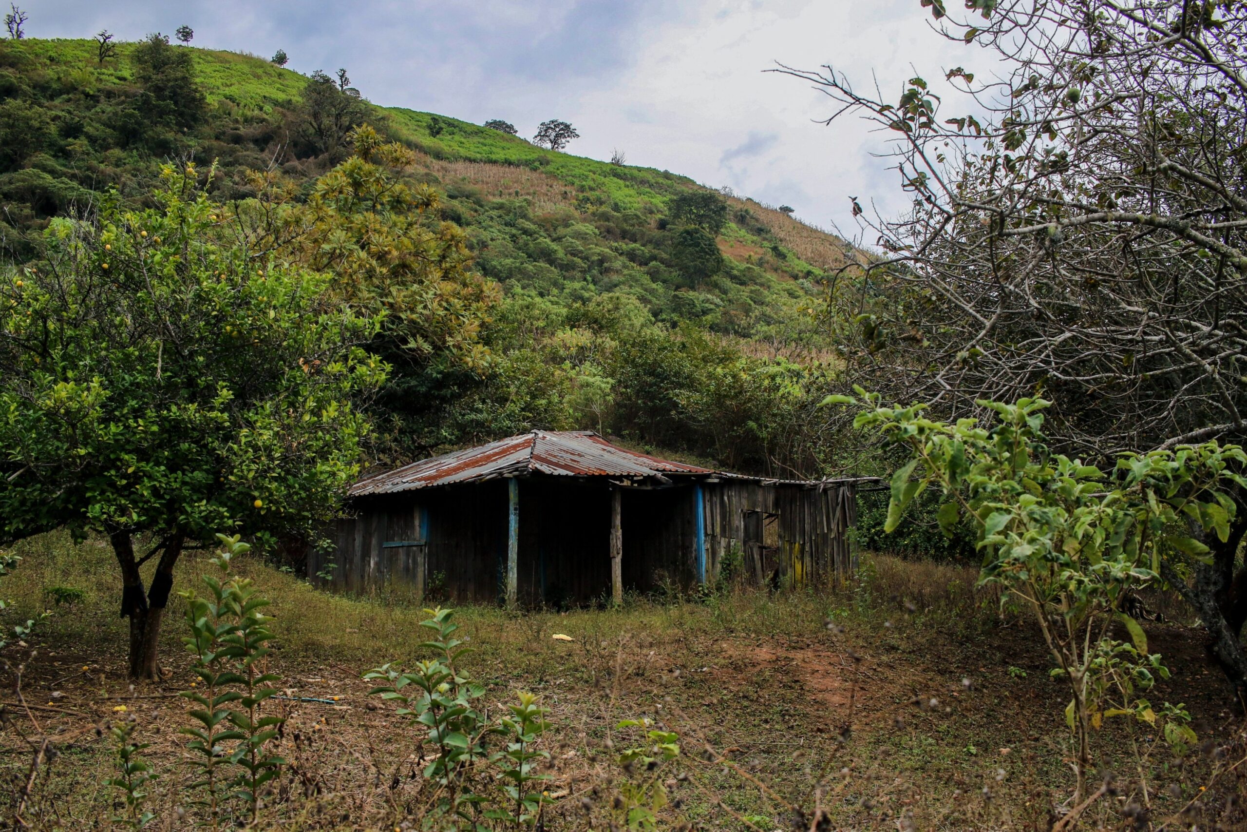 Buscas por mineradores sequestrados revelam valas e corpos perto de mina no México
