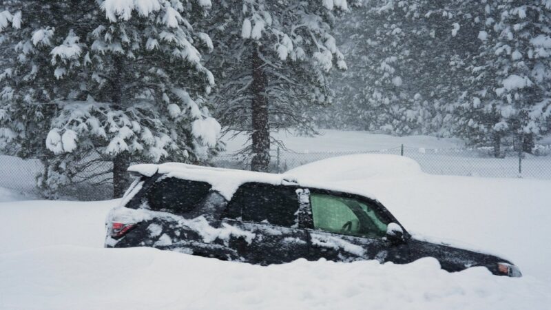 Corpos de 8 esquiadores desaparecidos são encontrados após avalanche na Califórnia; buscas continuam por 1 pessoa